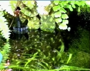 Oberfl�chenwassereinzug