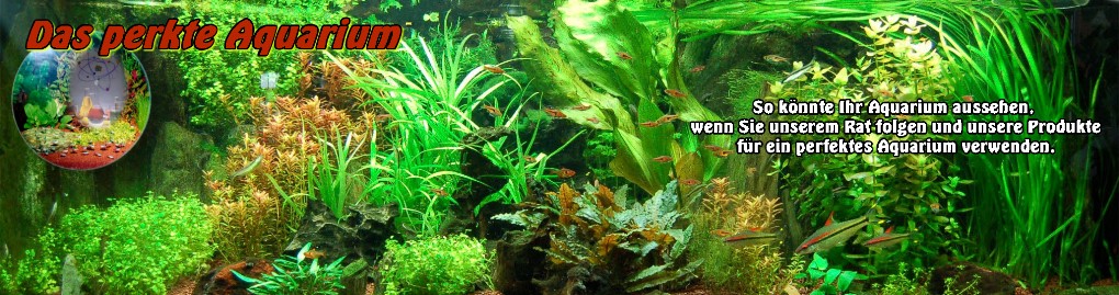 Panorama_fur_walaqua